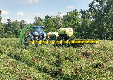 Planting green into annual ryegrass