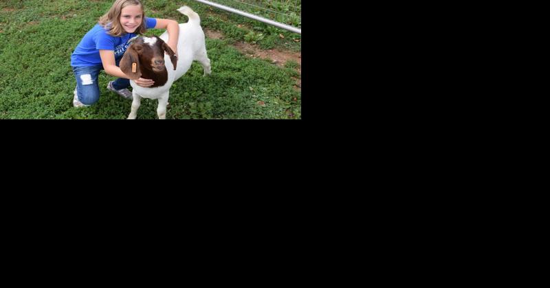 4-H'er Donates Part of Fair Earnings to Prison Ministry | Fairs-and-shows - Vimarsana News