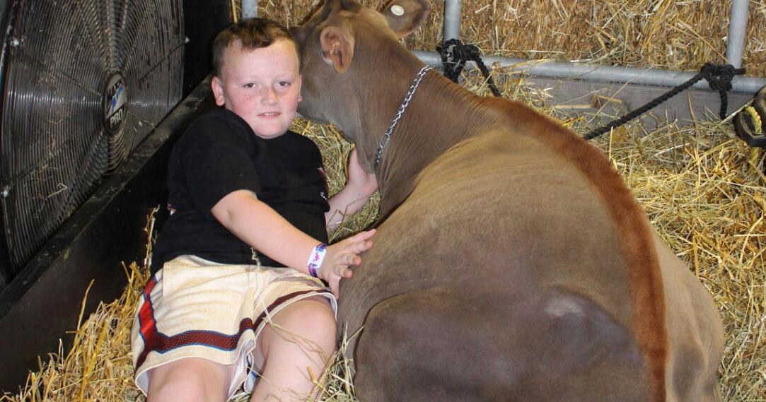 Children of Glamour-Ridge Farm Win at New York State Fair
