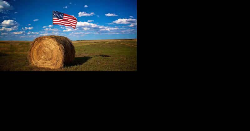 Veterans in Agriculture: Continuing Service to Country and Community - Vimarsana News