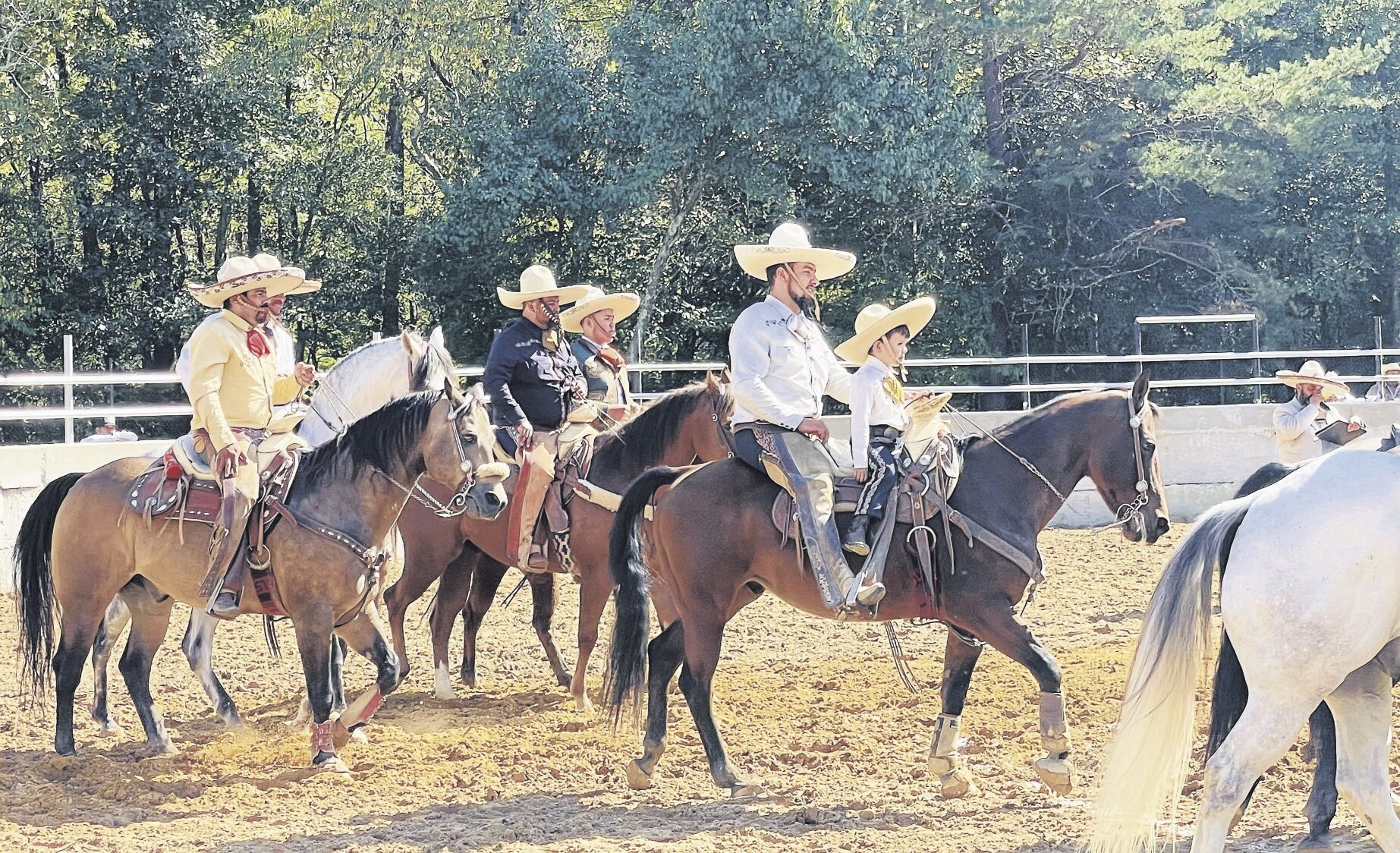 A Mexican Rodeo in Maryland Helps People Find Common Ground Horse