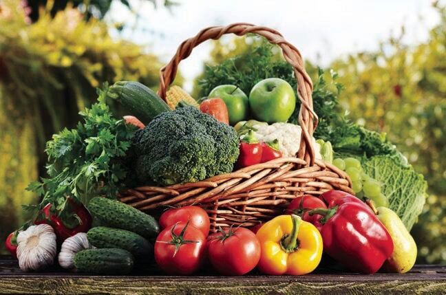 Food in the Bible: Feeding Our Spiritual Soul