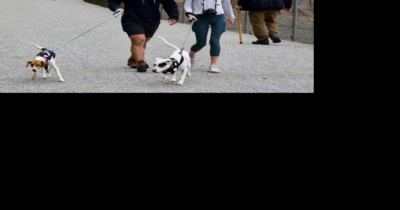 Lancaster County’s trails, parks swarmed as residents seek relief from coronavirus worry