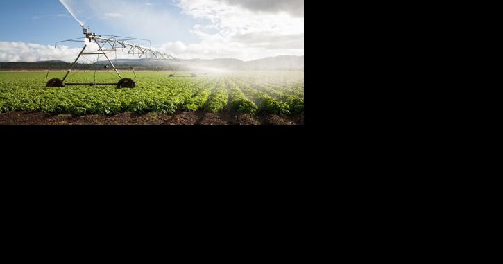 FDA Publishes Long-Awaited Food Safety Rule for Ag Water - Vimarsana News