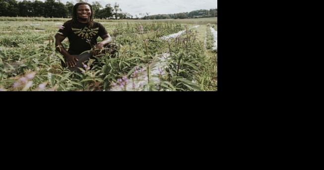 Lehigh County's Seed Farm Grows New Generation of Farmers | Conservation and Renewable Energy News - Vimarsana News
