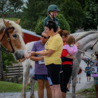 Gentle Giants Draft Horse Rescue on a Mission - Vimarsana News
