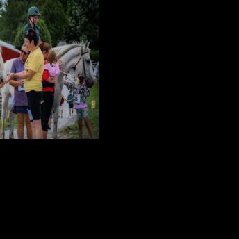 Mild Giants Draft Horse Rescue on a Mission | Horse Information and Equine Events