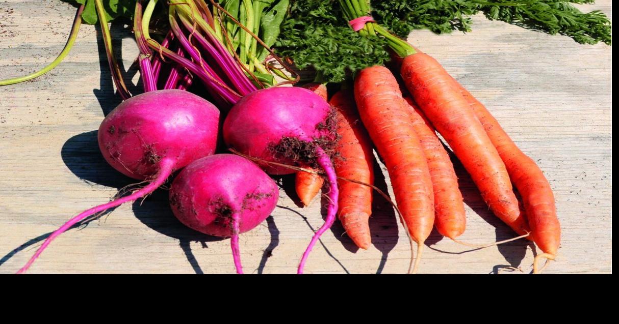 Sweet Idea: Leave Those Carrots in the Ground Over Winter
