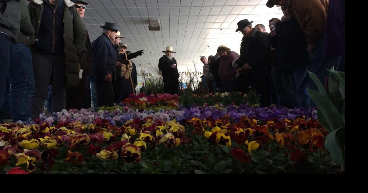 Video Weaverland Produce Auction Opening Day