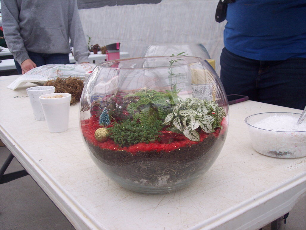 Terrarium: The new clean and green idea - The Economic Times