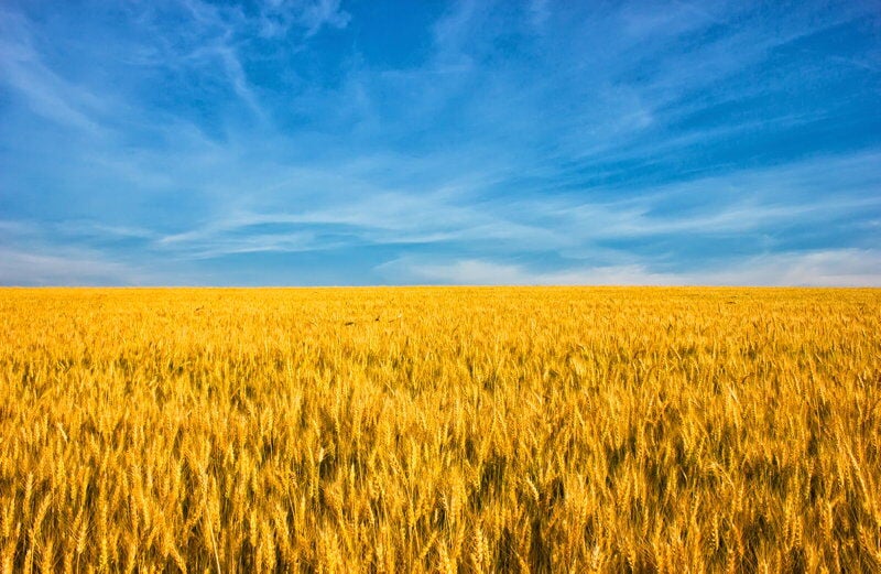 saltpeter farming new world