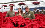 Colors of Christmas: Thousands of Poinsettias on Display | Gardening Tips and How-To Garden Guides poinsettia.jpg