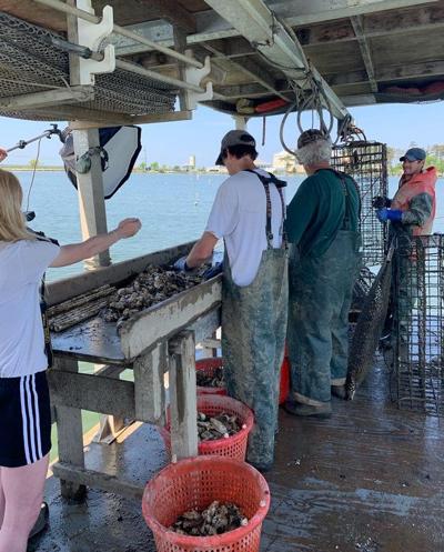 Oyster Farms Lead To Rise In Maryland Aquaculture Southern Region Lancasterfarming Com