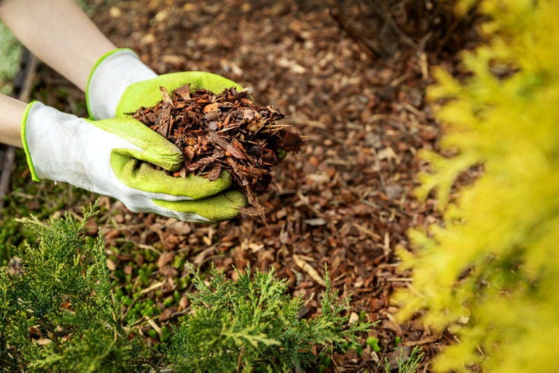 mulching gloves