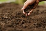 soil health