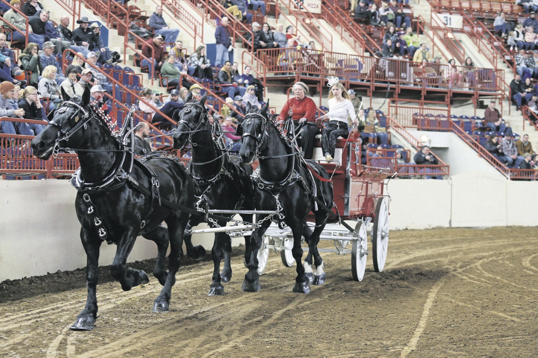 Draft Horses on Display Draw Crowds at the PA Farm Show | Horse News ...