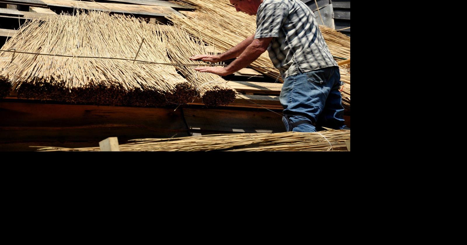 Thatching Hearkens Back to Earlier Time | Farming and Agricultural News ...