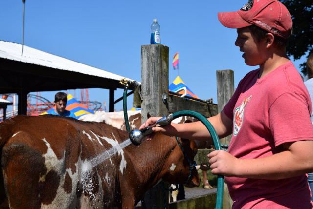 Pennsylvania County Fairs and Shows Guide 2022: Dates and Official