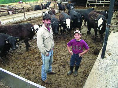 Farmer Finds Niche Raising Natural Beef Main Edition