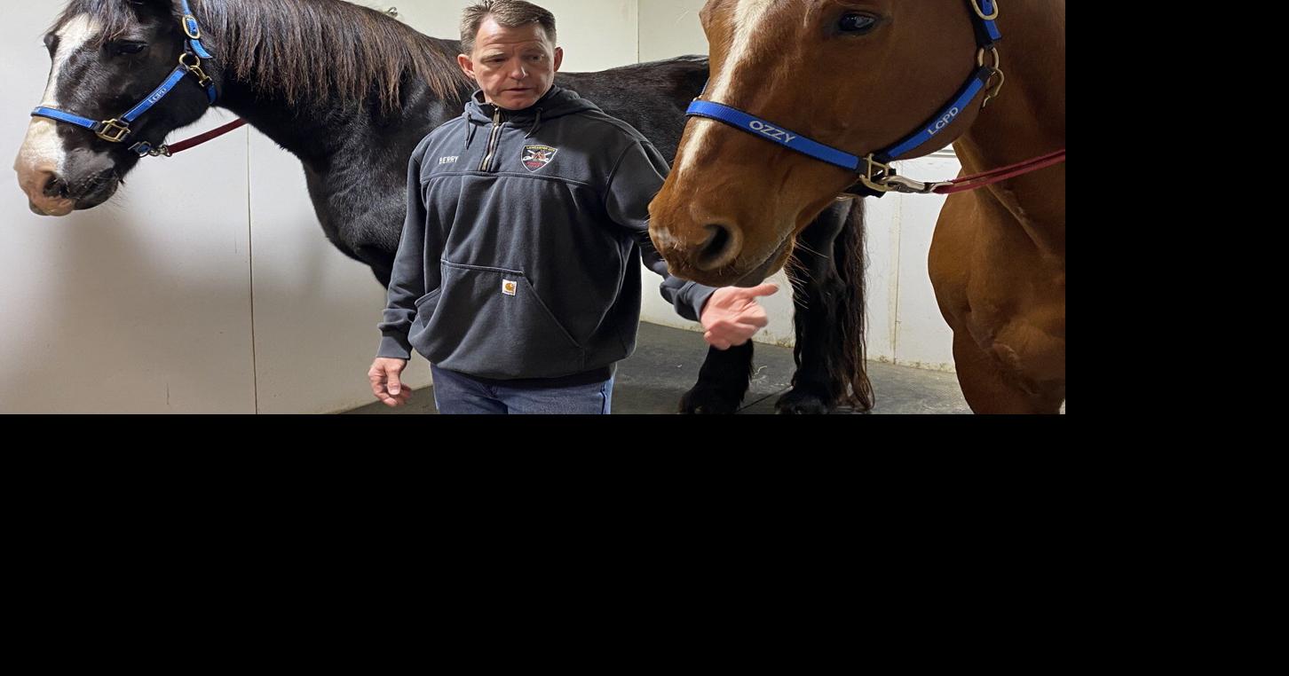 End of a Partnership What Happens When Police Horses Retire Horse