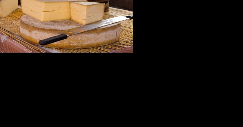 Who has the Right to Make Gruyere Cheese? [Opinion] - Vimarsana News