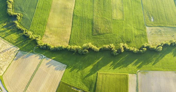 PFAS Assessment Indicates EPA Is Failing Farmers [Opinion] | Farming ...