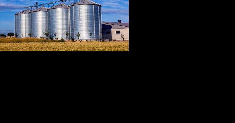 OSHA Proposes $500K Fine After Worker Dies Cleaning Out Grain Silo - Vimarsana News