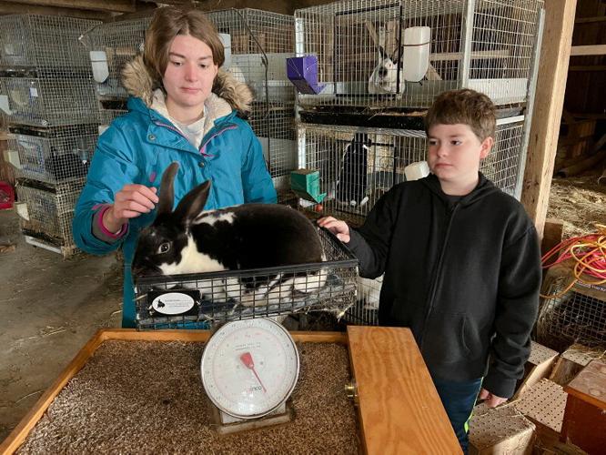 Rabbits Aren’t Just for Easter Agriculture Education and Youth