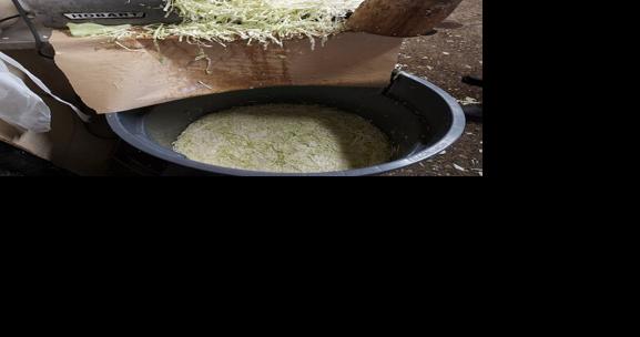 Sauerkraut and Pork Traditions Bring in Pennsylvania Dutch New Year - Vimarsana News