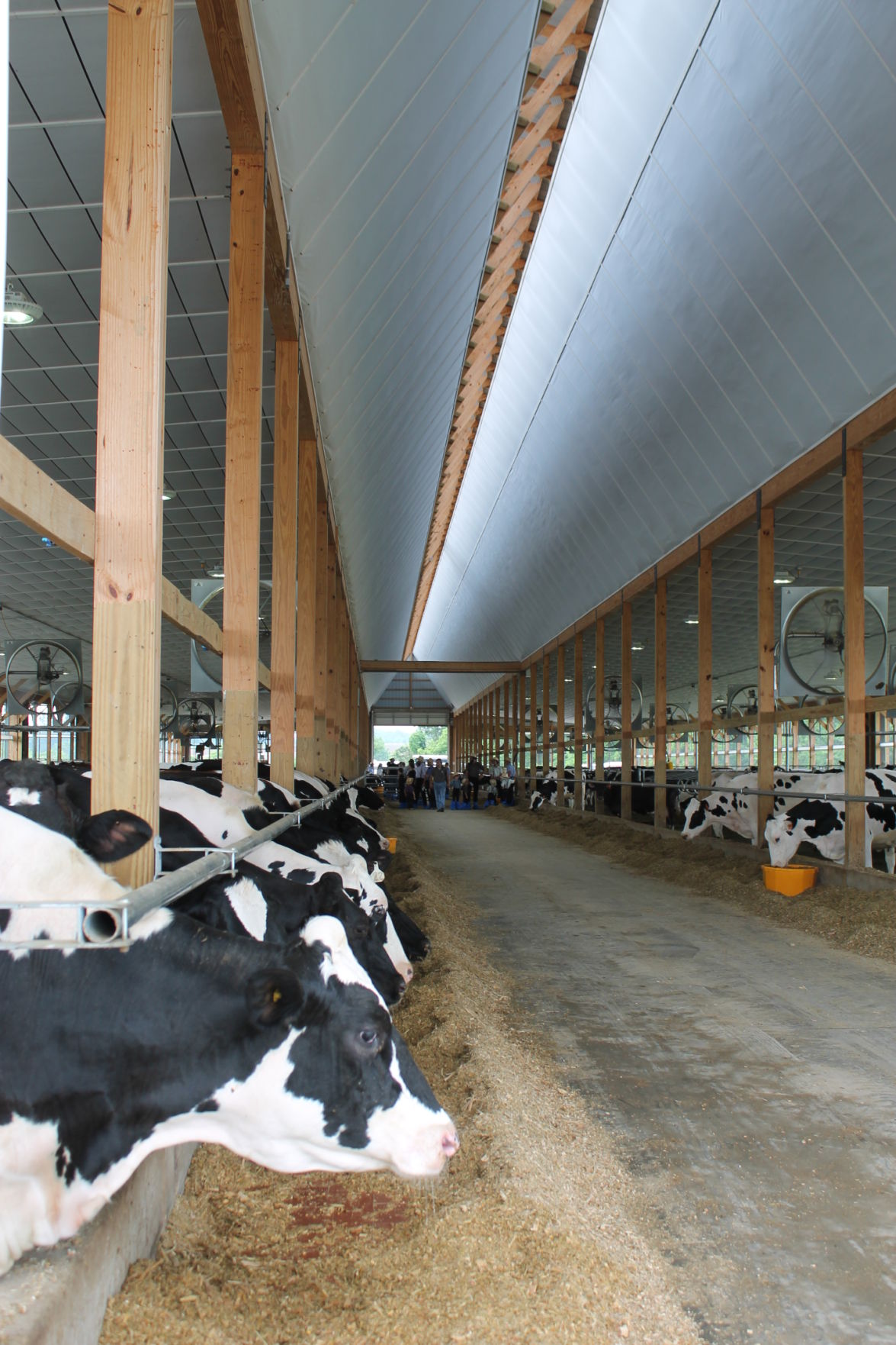 Open House Showcases Dairy Options Main Edition