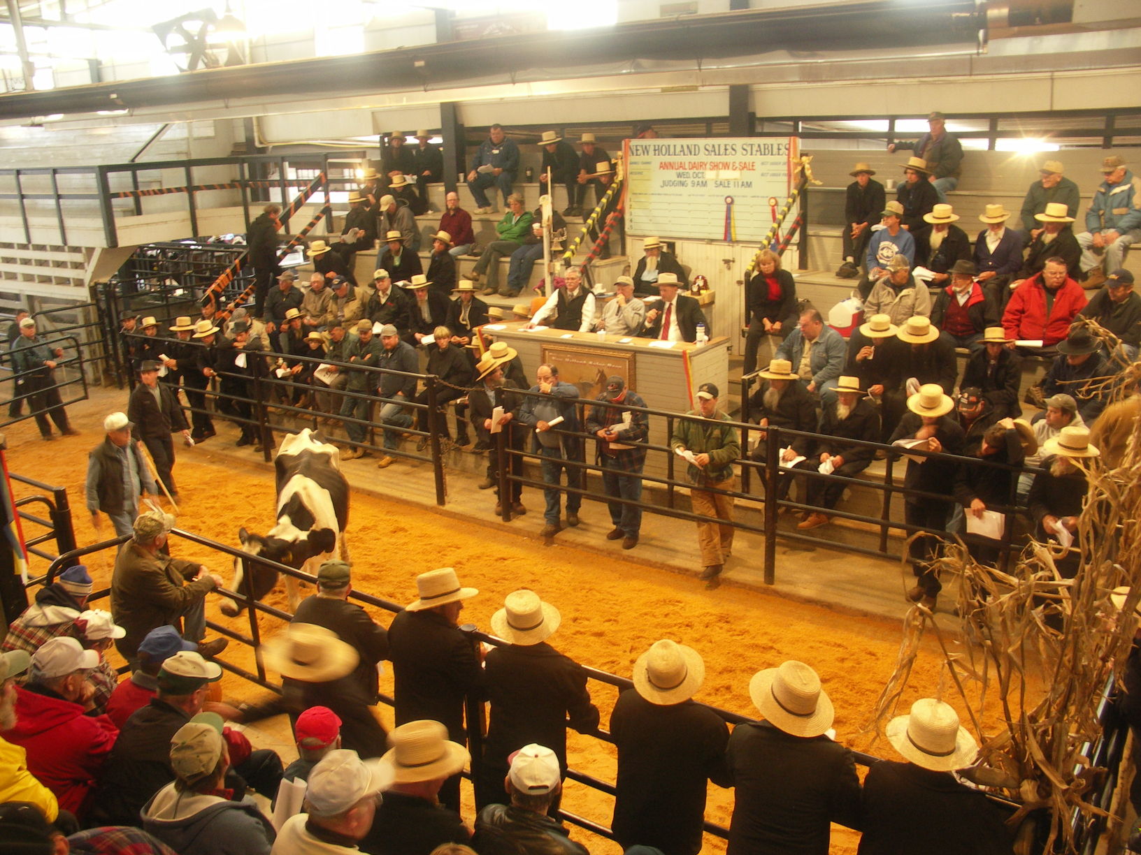 Market Reports for Nov. 2 Livestock Market Reports