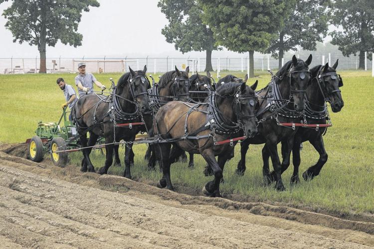 Hitch into 2024 Horse Progress Days in Lancaster County Horse News