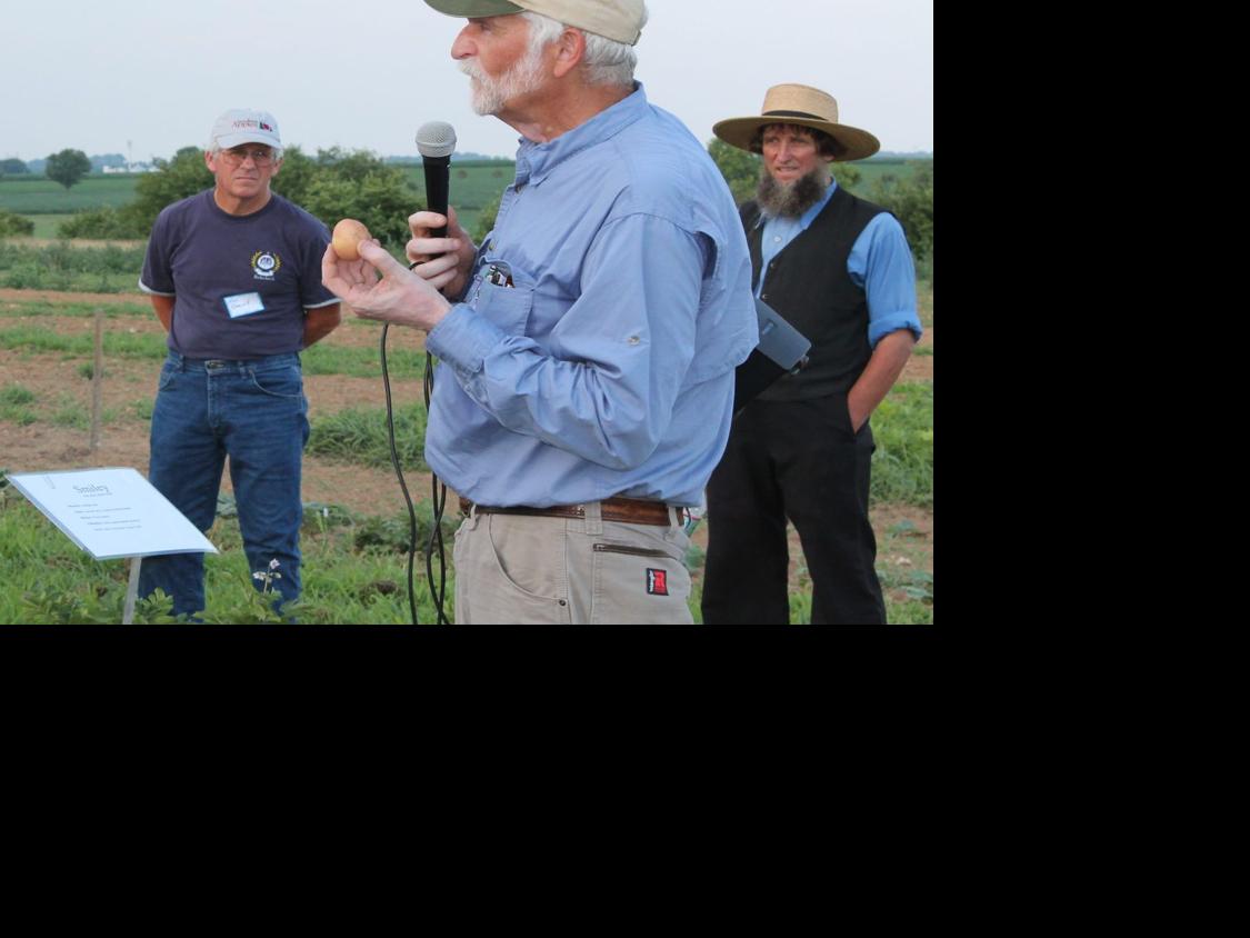 Late Blight Hits Potatoes Tomatoes In Pa Main Edition Lancasterfarming Com