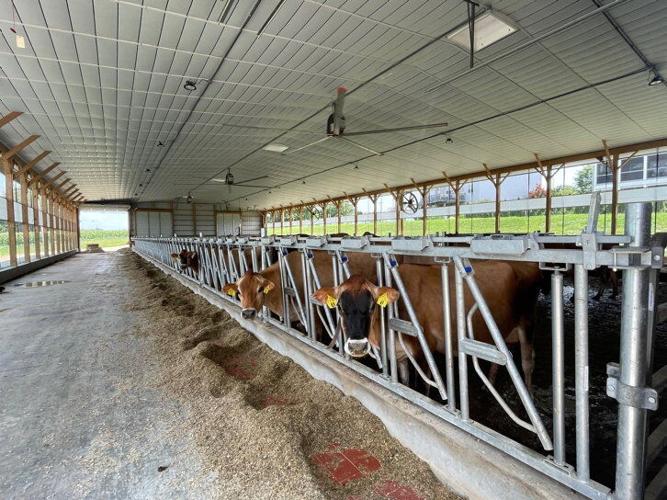 Meadowview Contamination_03.jpg