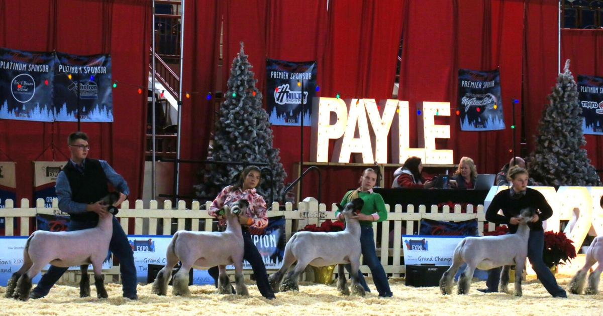 Sheep Show Stack Exhibitors Show Their Connection to Animals at Pennsylvania Youth ...