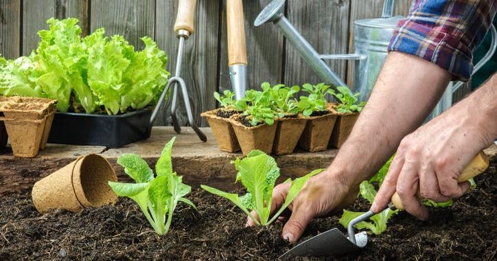 May Is Dirty Hands Month [Opinion] | Farm and Rural Family Life |  lancasterfarming.com