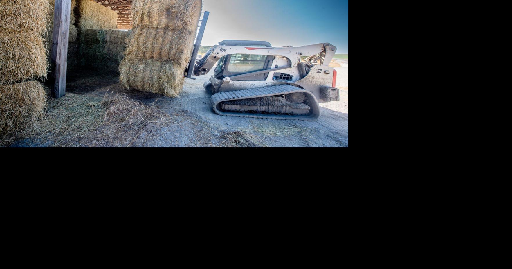 Searching For a New Truck in the Wake of an Unforgettable Accident on ...