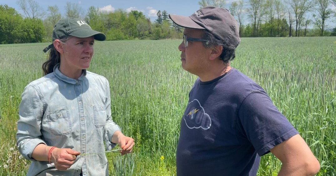 Ithaca's Organic Stick and Stone Farm Has Evolved With the Marketplace | Organic Agriculture News - Vimarsana News