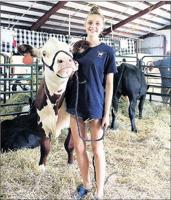 First Time’s the Charm for Teen Showing Beef at Wayne County Fair