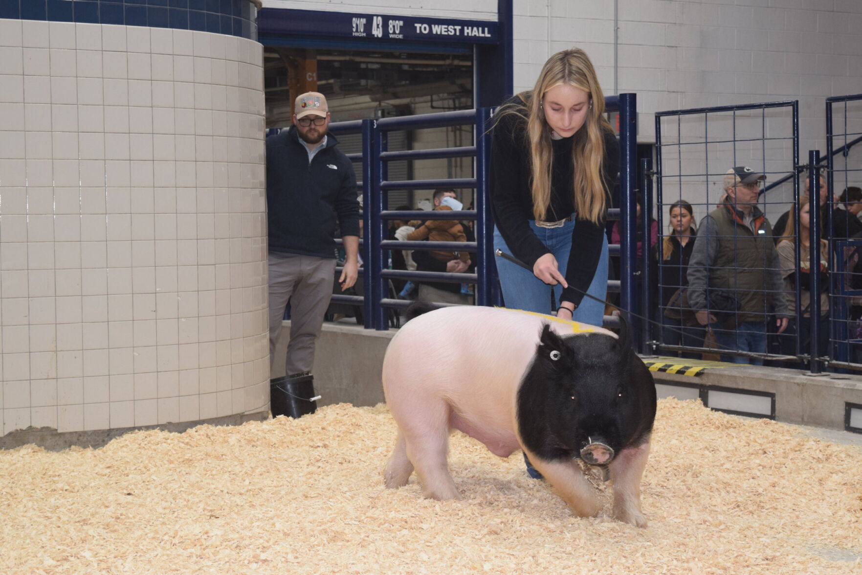 View More Photos From The 2024 PA Farm Show Sale Of Champions   659d7dd550c33.image 