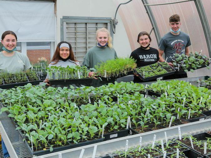 Lancaster FFA Group Grows Greenhouse Starters for Spring - Vimarsana News
