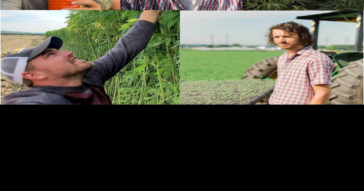 Podcast: Hemp Planting Report, Part 2