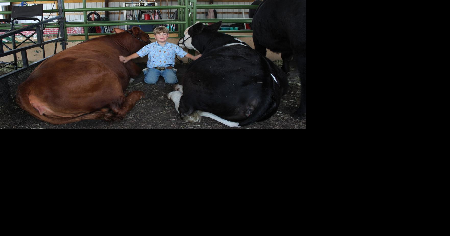 Family Shows at Ontario County Fair and Beyond