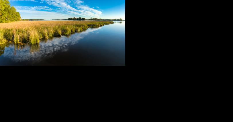 Don't Fall for Denial and Disinformation ([Opinion] | The Latest Environmental and Conservation News - Vimarsana News