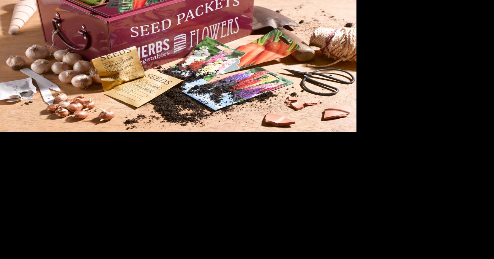 The Beginner Gardener’s Guide To Ordering Seeds | Gardening Tips and How-To Garden Guides