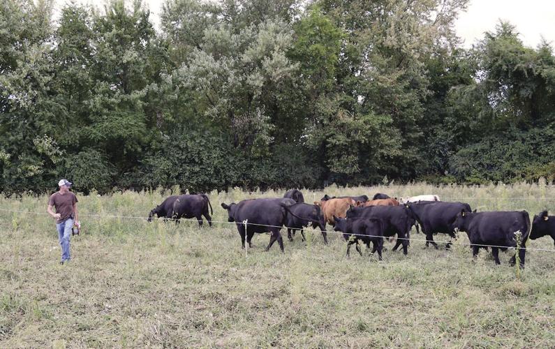 Direct Farming Experimenting With Direct-Market Farming | Agriculture Business ...