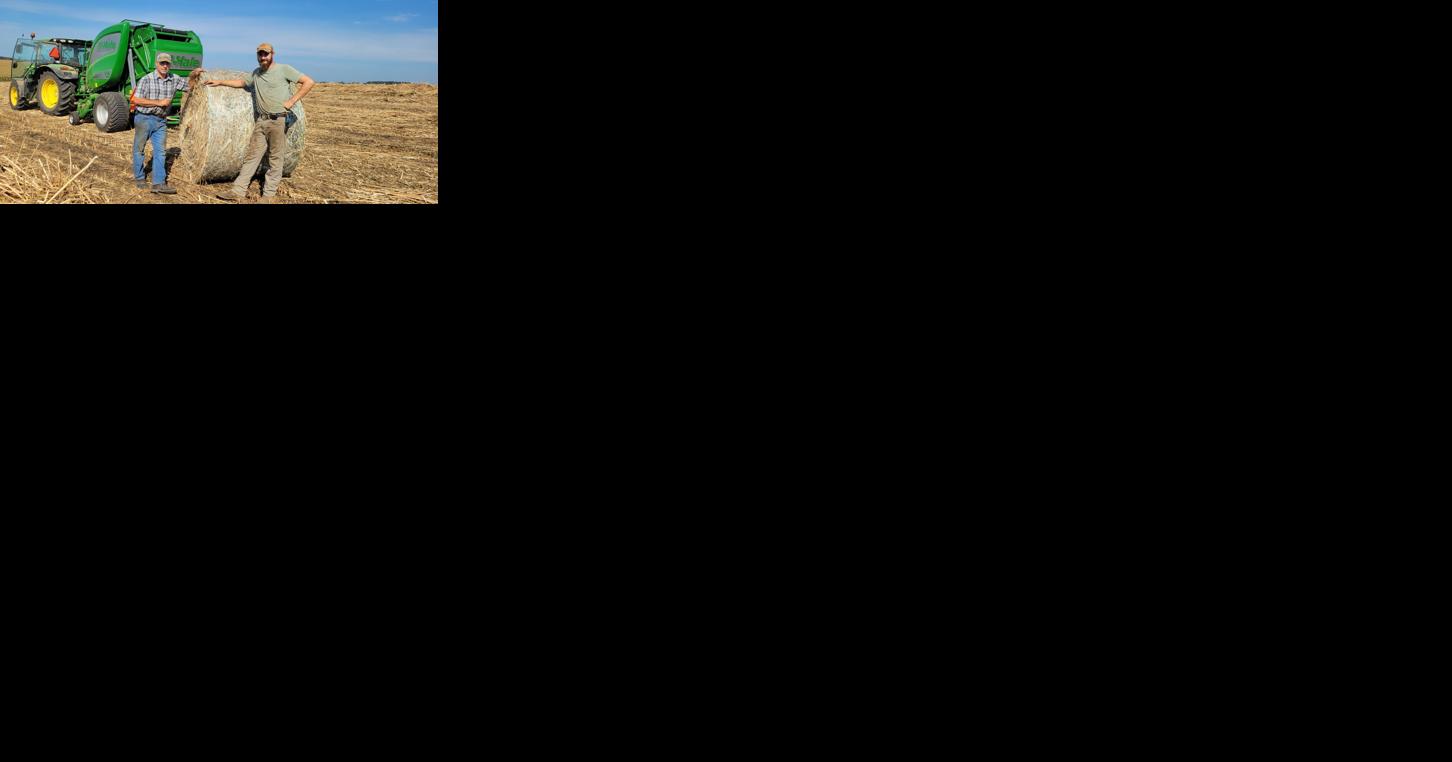 Podcast: Innovative Hemp Harvest at Cedar Meadow Farm - Vimarsana News