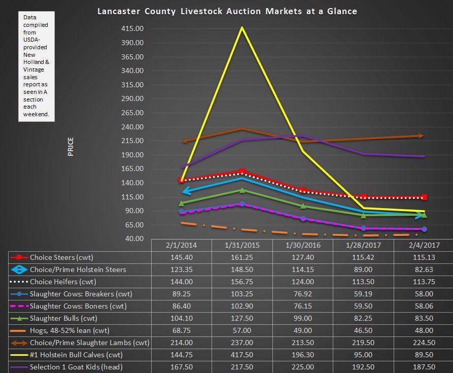 New Holland Monday Cattle and Calves Auction 1/30/17 Livestock