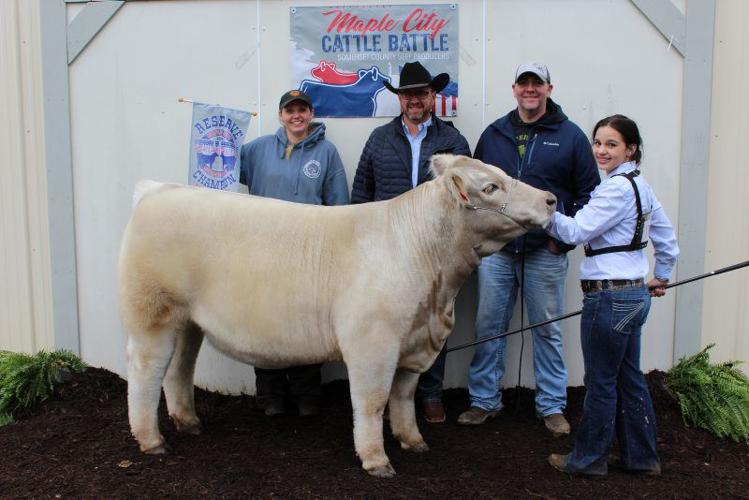 Girls Win Maple City Steer Show | Farming and Agricultural News ...