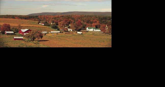 God Oversees the Harvest Field - Vimarsana News